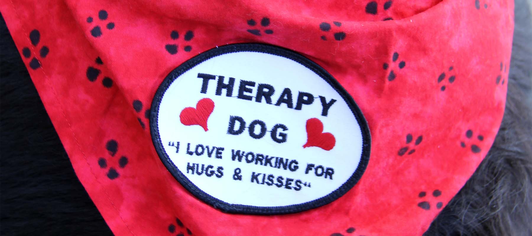 newfoundland_therapy_dog patch